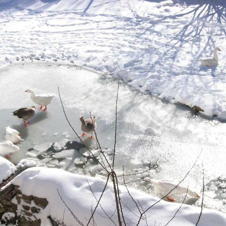 Hotel Rural Los Frutales Cercedilla Zewnętrze zdjęcie