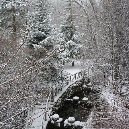 Hotel Rural Los Frutales Cercedilla Zewnętrze zdjęcie