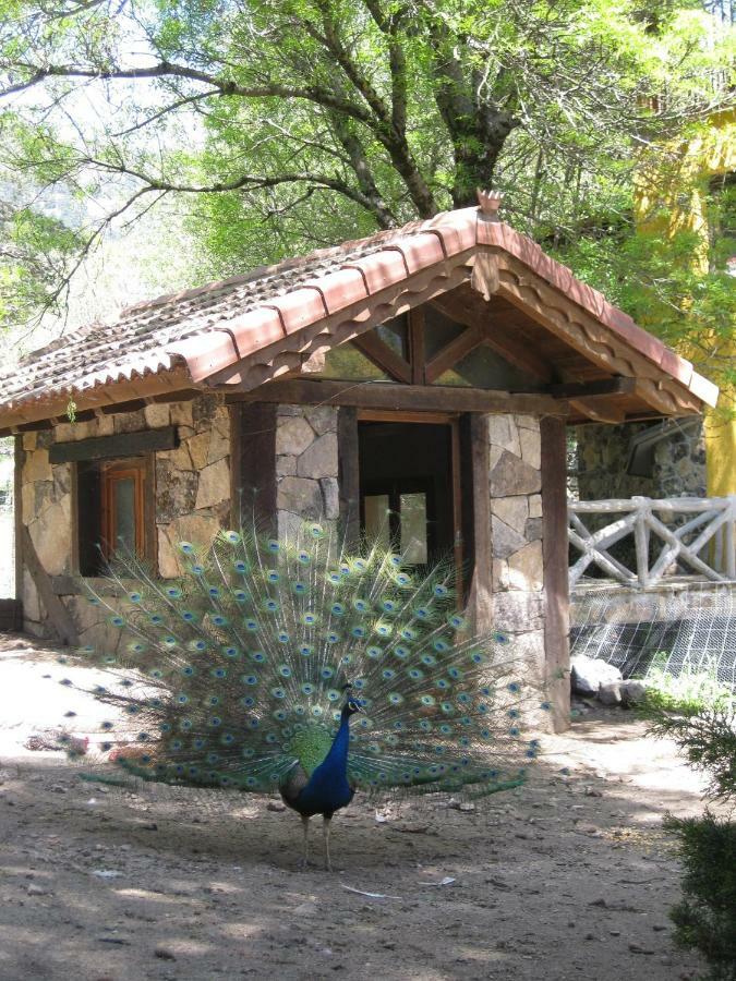 Hotel Rural Los Frutales Cercedilla Zewnętrze zdjęcie