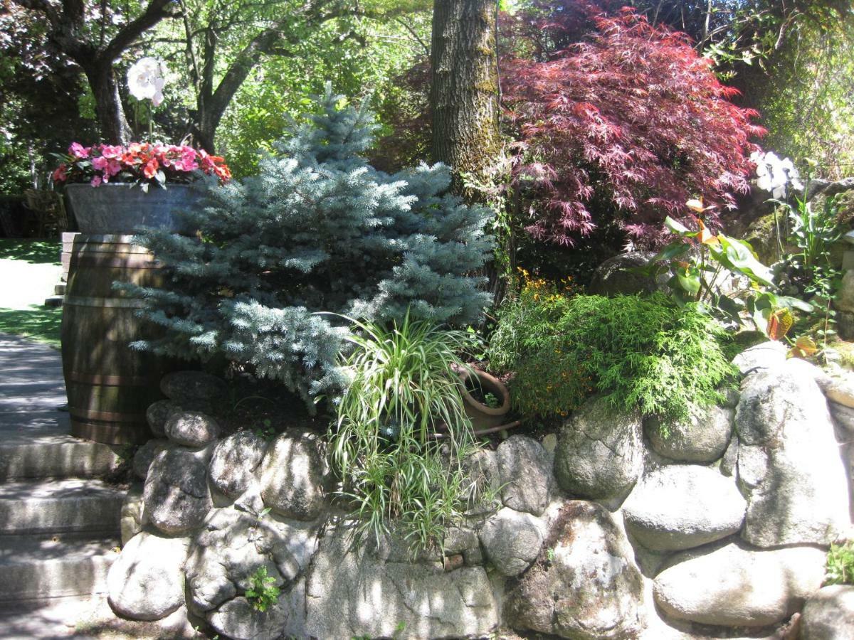 Hotel Rural Los Frutales Cercedilla Zewnętrze zdjęcie